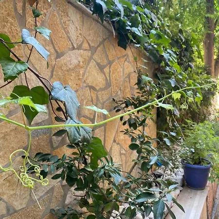 Olive Tree Apartman Saranda