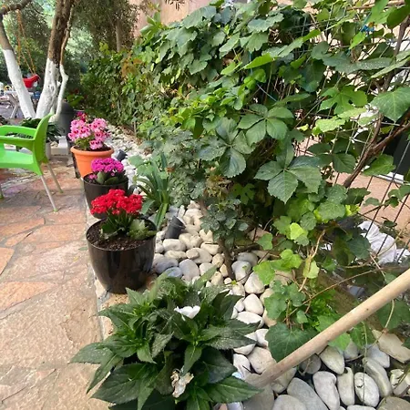 Olive Tree Apartman Saranda