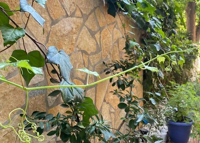 Olive Tree Apartamento Sarandë