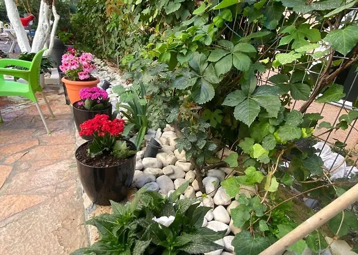 Olive Tree Appartement Saranda