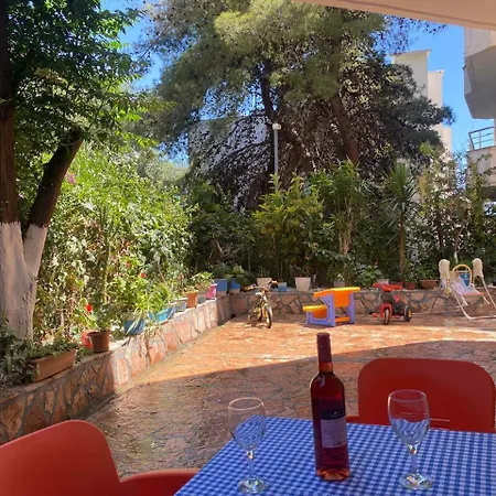 Daire Olive Tree Saranda