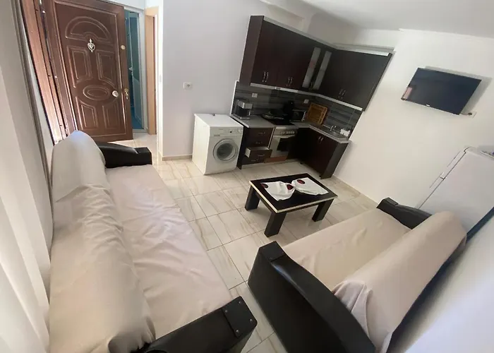 Olive Tree * Saranda